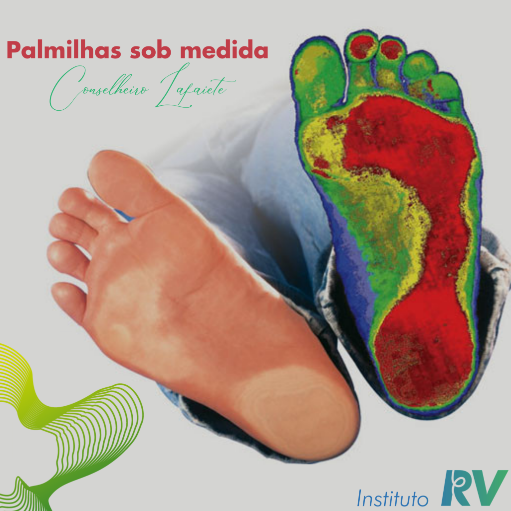 Palmilhas Conselheiro Lafaiete